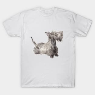 Scottie Silhouette T-Shirt